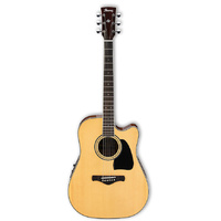 Ibanez AW70EC Acoustic Guitar