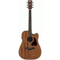 IBANEZ AW54CE OPN ARTWOOD DREADNOUGHT