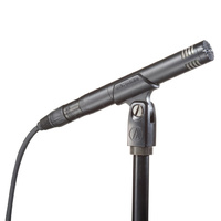 Audio-Technica AT2031 Studio Condenser Instrument Microphone