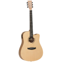 TANGLEWOOD TDBTDCEHR DISCOVERY EXOTIC DREADNOUGHT C/E